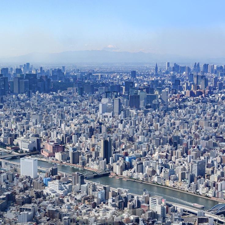 Family routine and school logistics in Lisbon