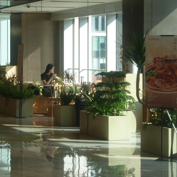 Dining out as an expat family in Portugal